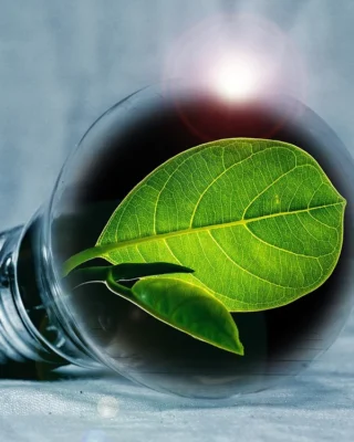 Lightbulb with a green leaf inside sitting on a blue background of an energy-efficient home